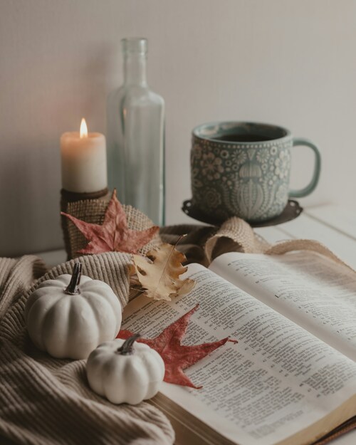 lectura acogedora(1)